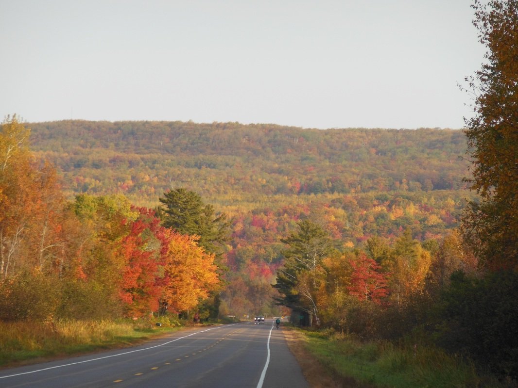 The Most Beautiful Highway in Every State Aceable