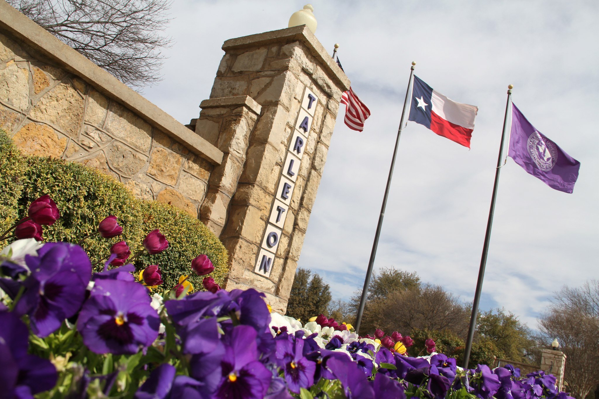 the-20-best-colleges-in-texas-offering-online-degrees-aceable