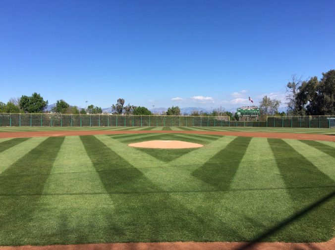 25 Best High School Baseball Stadiums/Fields in California Aceable