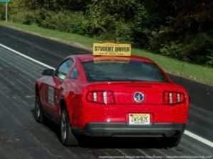 driving is a privilege