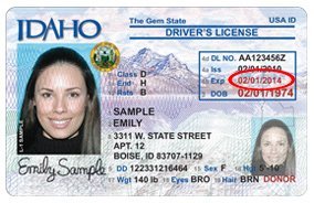 new kentucky driver's license 2020