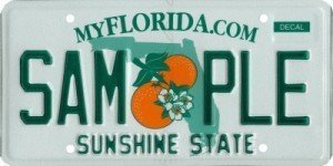 FL Plate