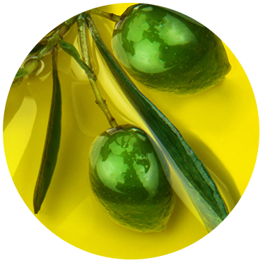 Olive Oil - Naturally Serious Good Skin Care Ingredient Glossary