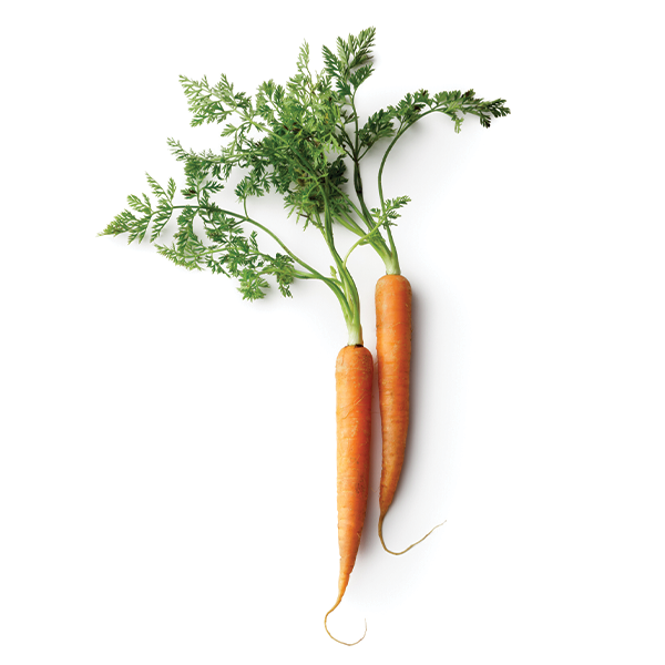 Vitamin A - Naturally Serious Skin Care Good Ingredients Glossary