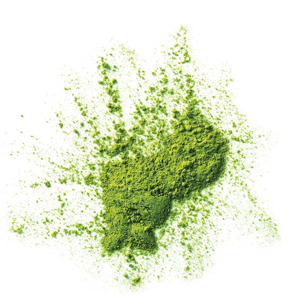 Green Tea - Naturally Serious Skin Care Good Ingredient Glossary
