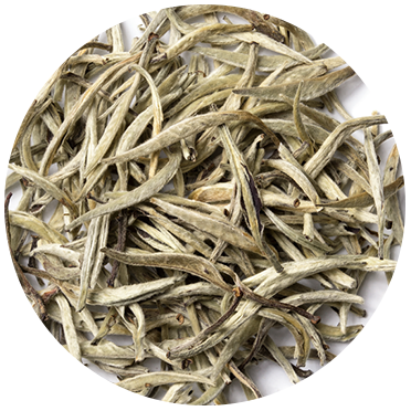 White Tea - Naturally Serious Good Skin Care Ingredient Glossary