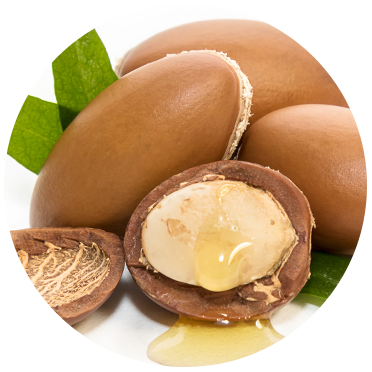 Argan Oil - Naturally Serious Good Skin Care Ingredients Glossary