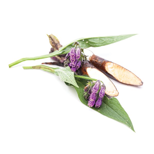 Allantoin - Naturally Serious Skin Care Good Ingredient Glossary
