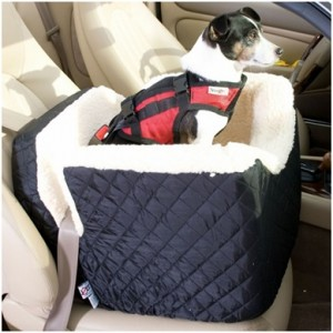 safety options for dogs