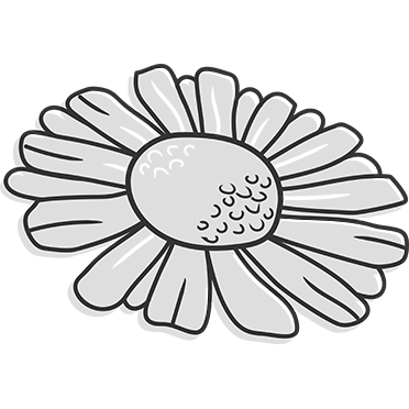 Chamomile Extract - Peter Thomas Roth Skin Care Ingredient Glossary