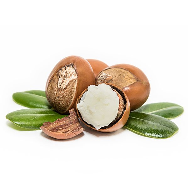 Shea Butter - June Jacobs Skin Care Ingredient Glossary