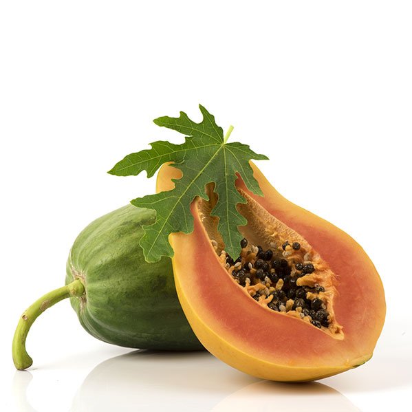 Papaya Enzyme - June Jacobs Skin Care Ingredient Glossary