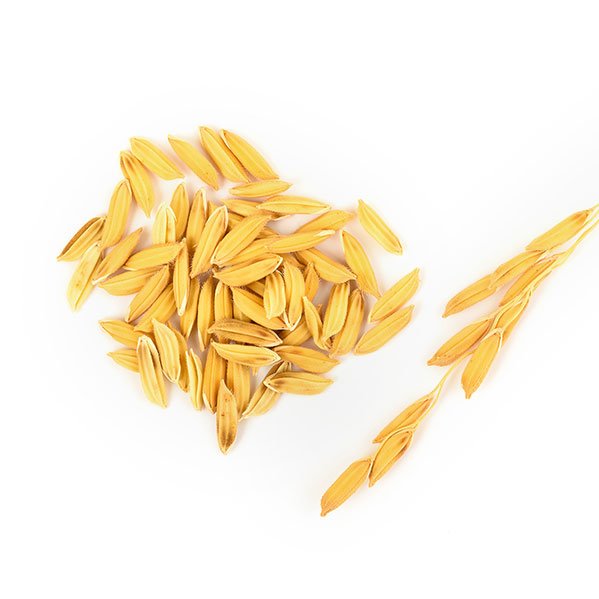 Rice Bran Extract Ingredients June Jacobs